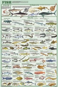 FishPoster-200x300