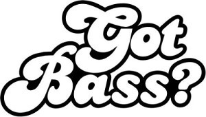 GotBass-300x170