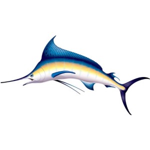 marlin